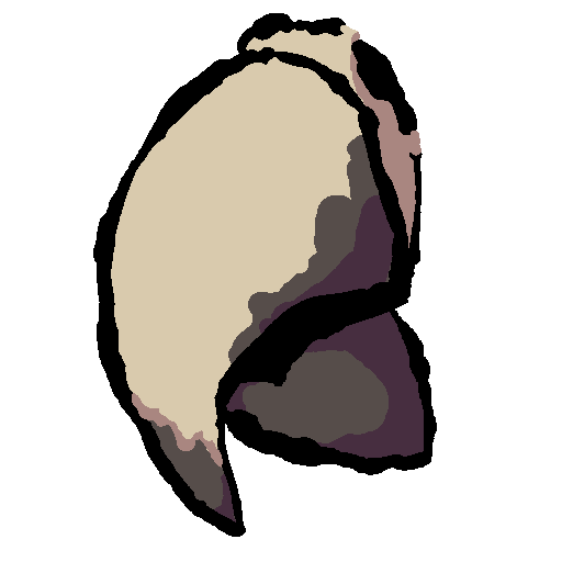 a tall, hooked black scarlet macaw beak. the upper mandible of it is a lighter cream colour except at the tip and near the bottom portion. near the upper portion is a small bit of skin and the bird's nostrils